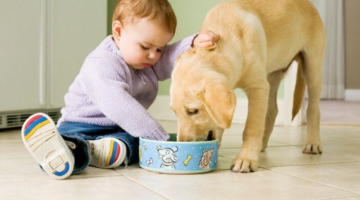 o neno come dunha cunca do can e inféctase de vermes