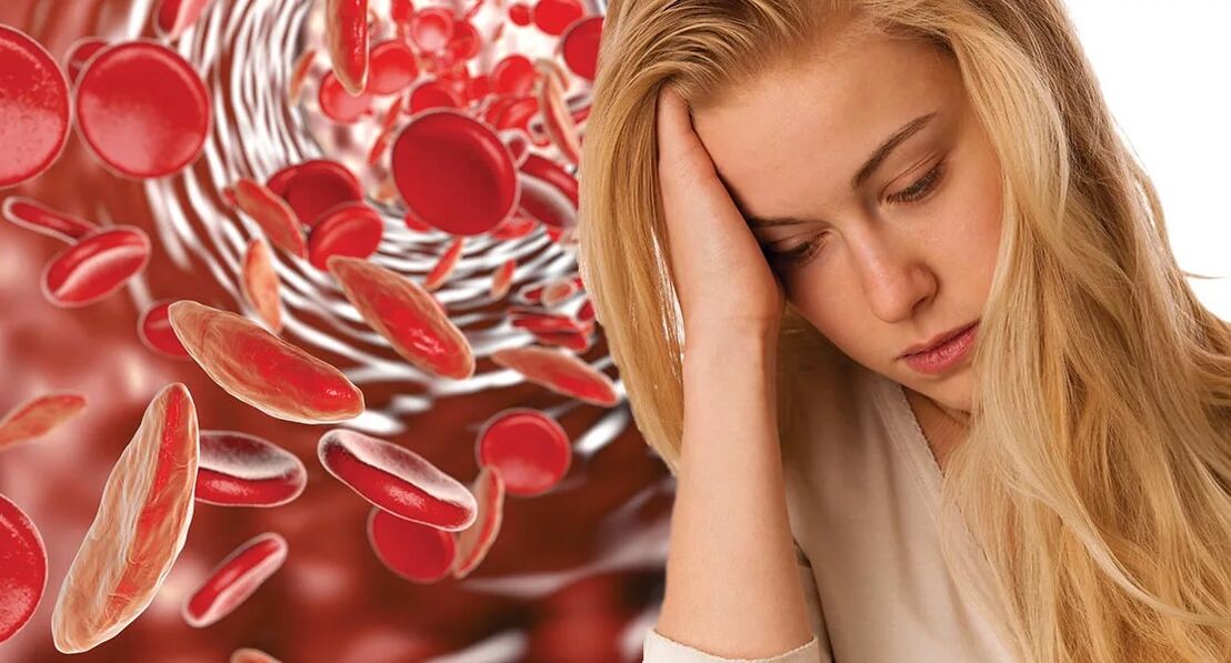 Anemia causada por parasitos