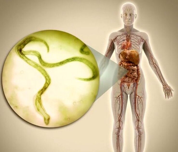 Parásitos no corpo