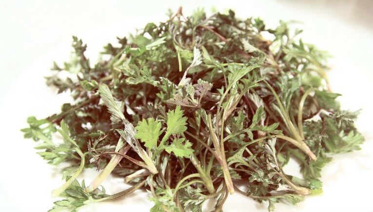 Wormwood de parásitos